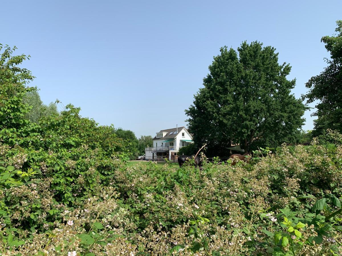 Luxury Guest House - Eik Aan De Dijk Aalst Extérieur photo